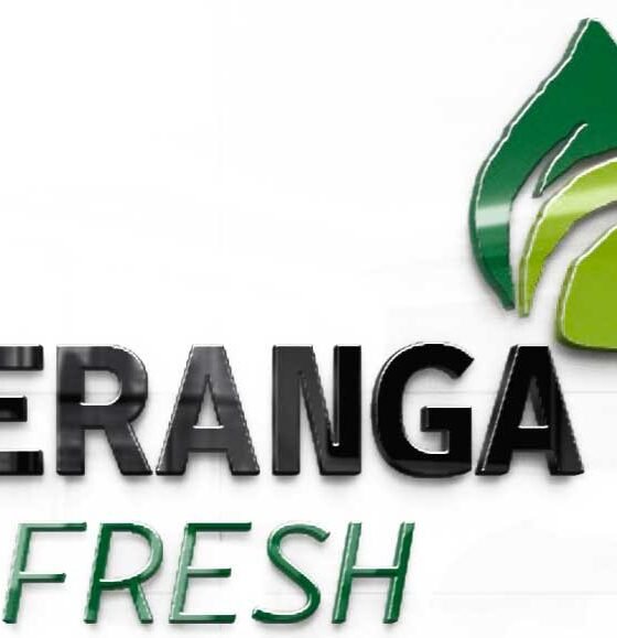 Fresh Duck Meat  and Eggs